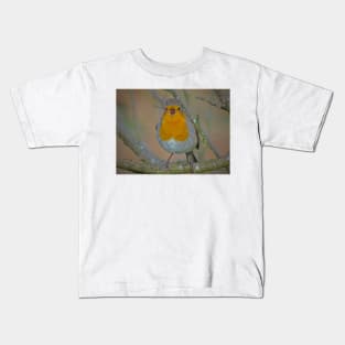 ROBIN GOCH! Kids T-Shirt